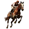 Horse Race Todays Card 