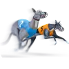 Greyhound Racing